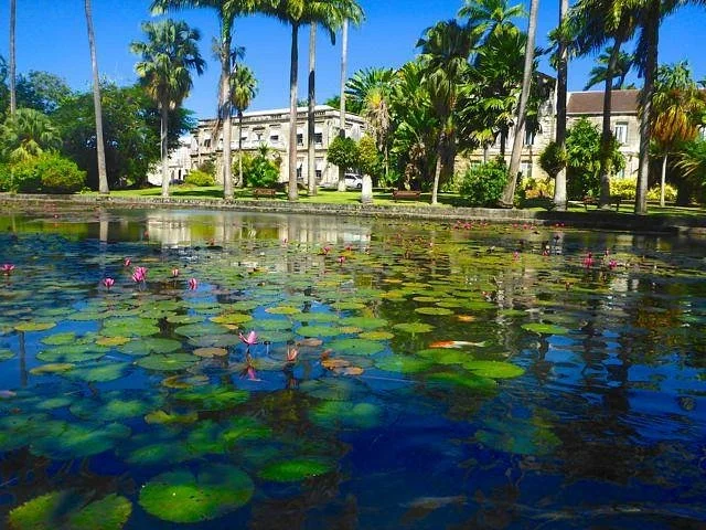 Codrington College