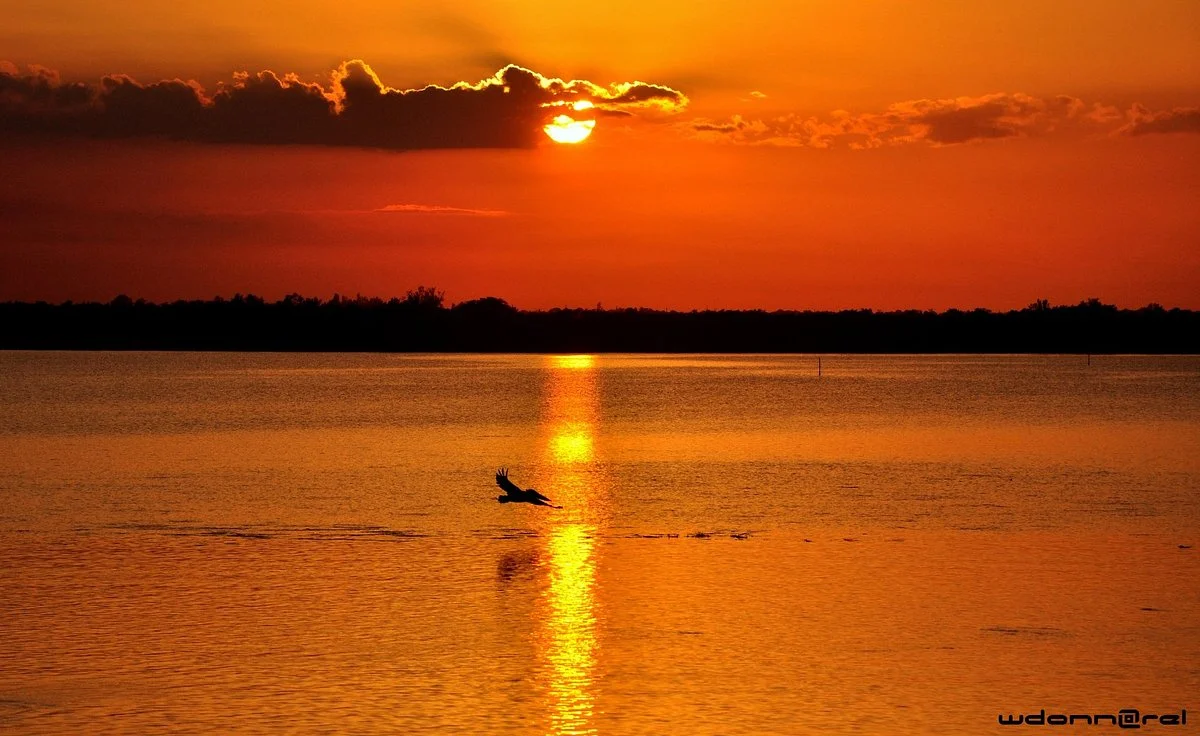 Indian River County wetlands