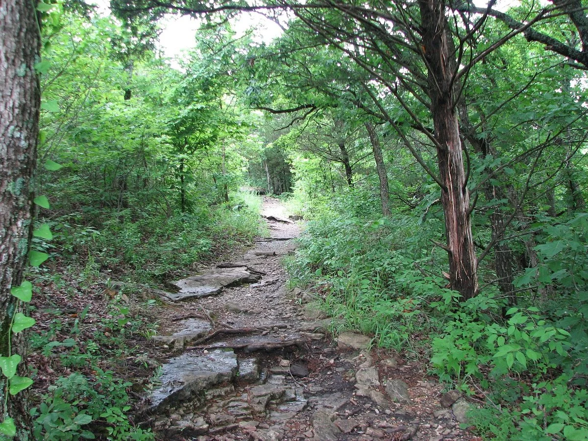 Glade Exploration Trail