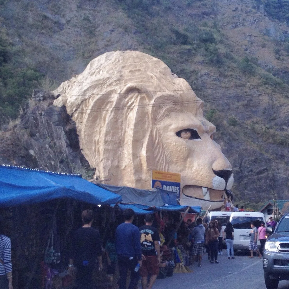 Lion Park