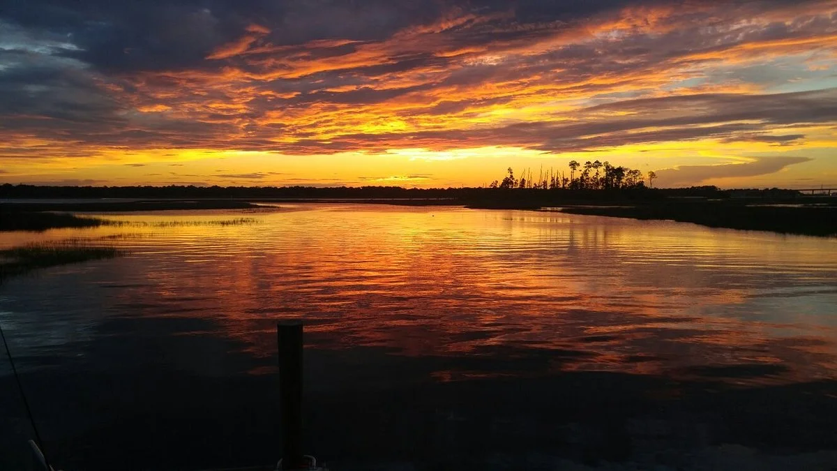 Dutton Island Preserve