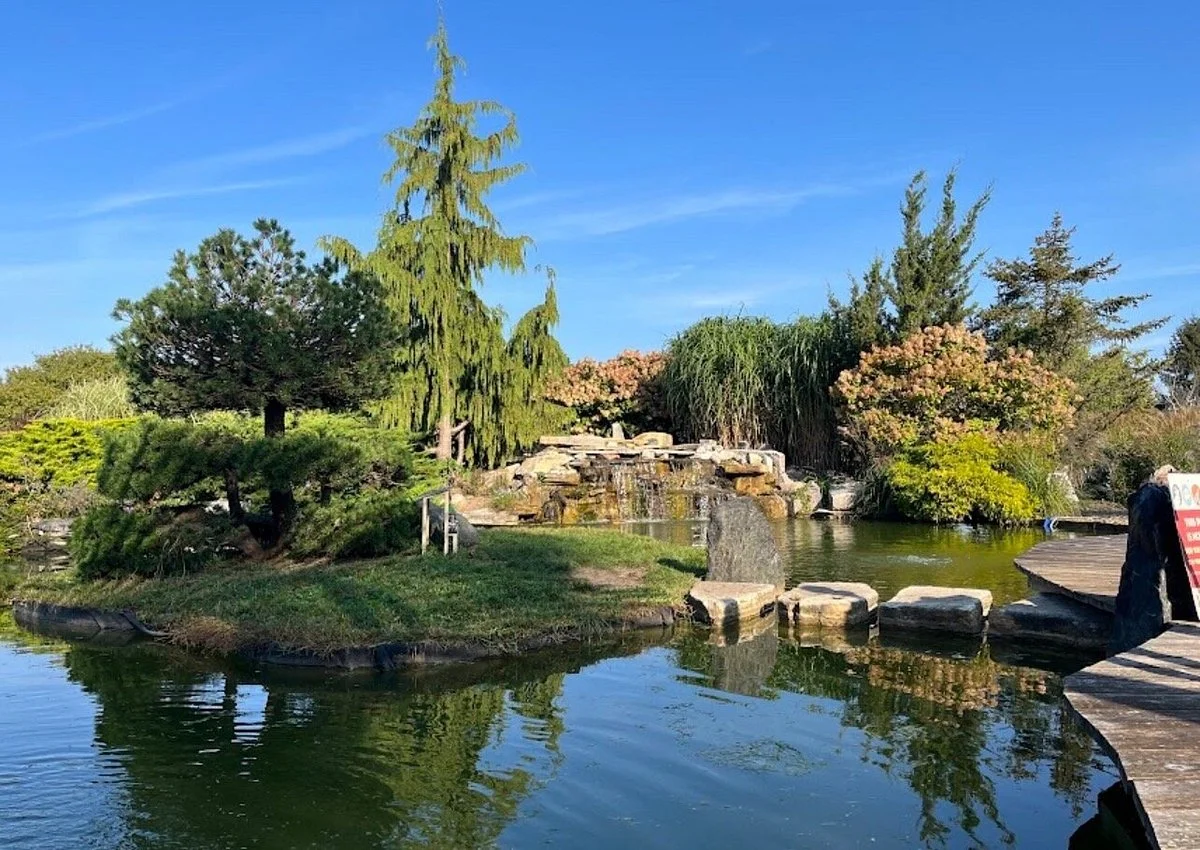White Lotus farms