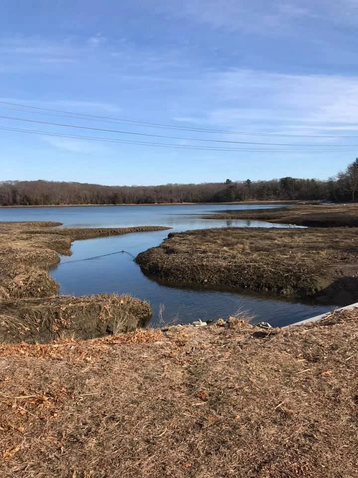 Osprey Overlook Park