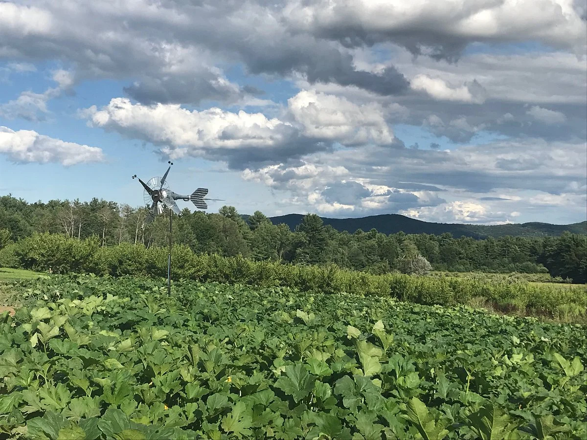 Sunset Farm