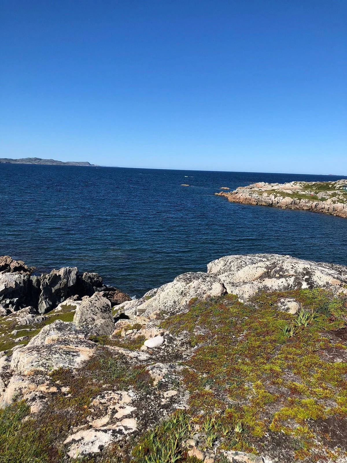 Joe Batt's Point Trail