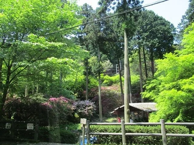 Aburayama Shimin no Mori