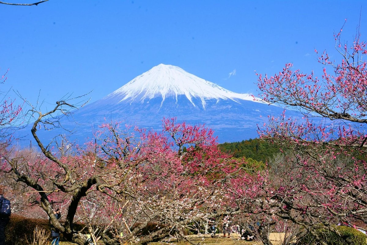 Mt. Iwamoto