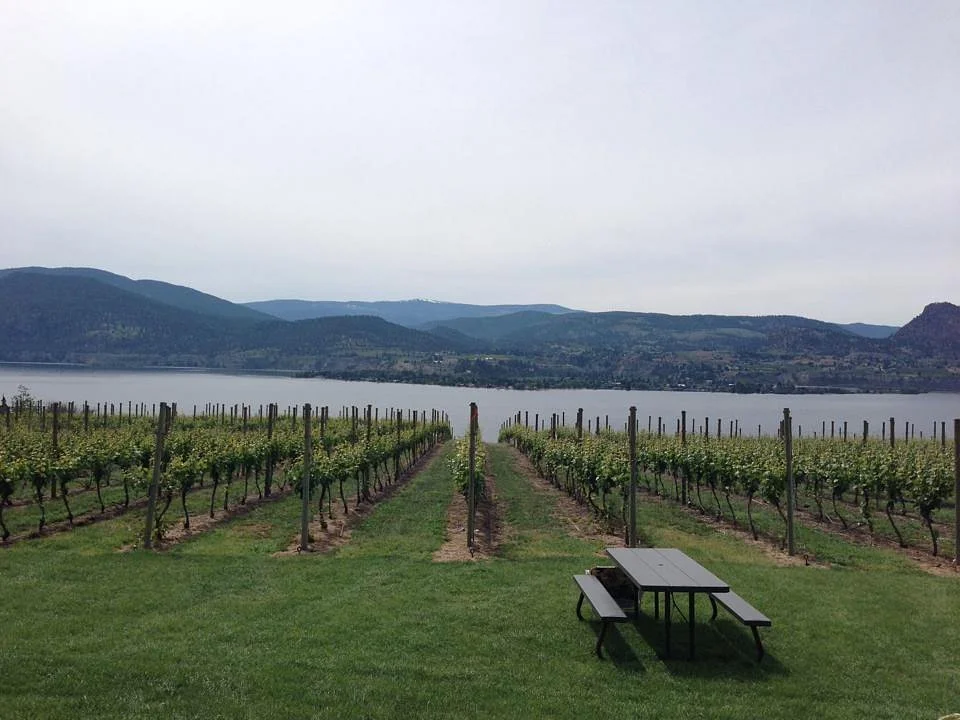 Deep Roots Winery