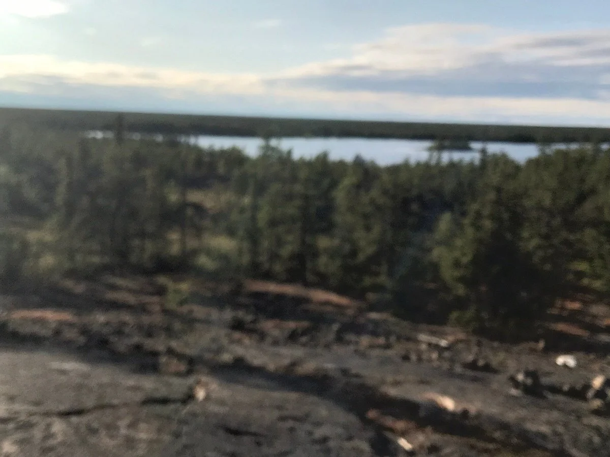 The Prospector trail