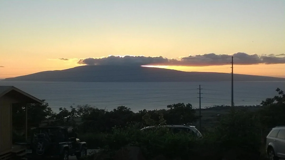 Lahaina Family Farms