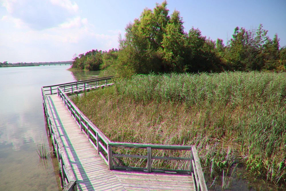 Mel Swart Lake Gibson Conservation Park