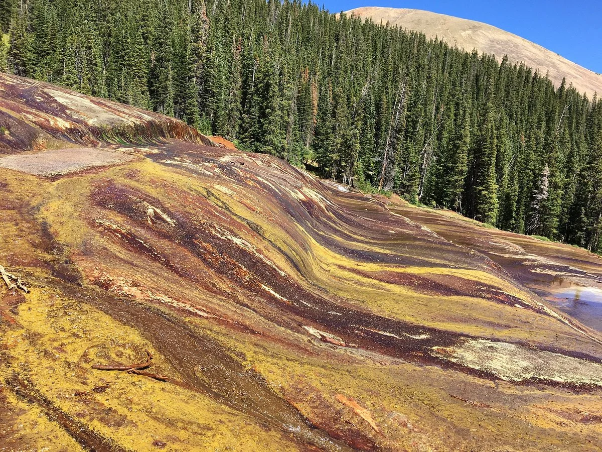 Geneva Creek Trail