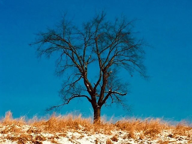 Binky Lee Preserve