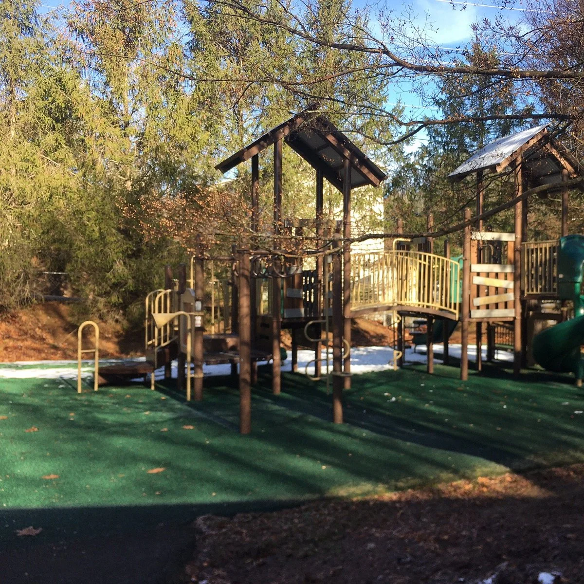 Mills Park