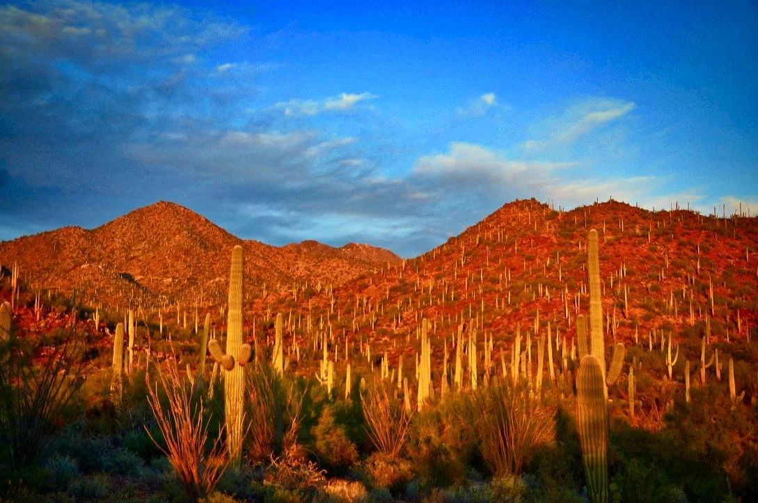 Red Hills Visitor Center
