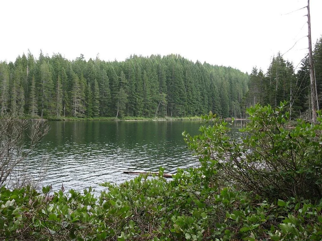 The Morte Lake Trail