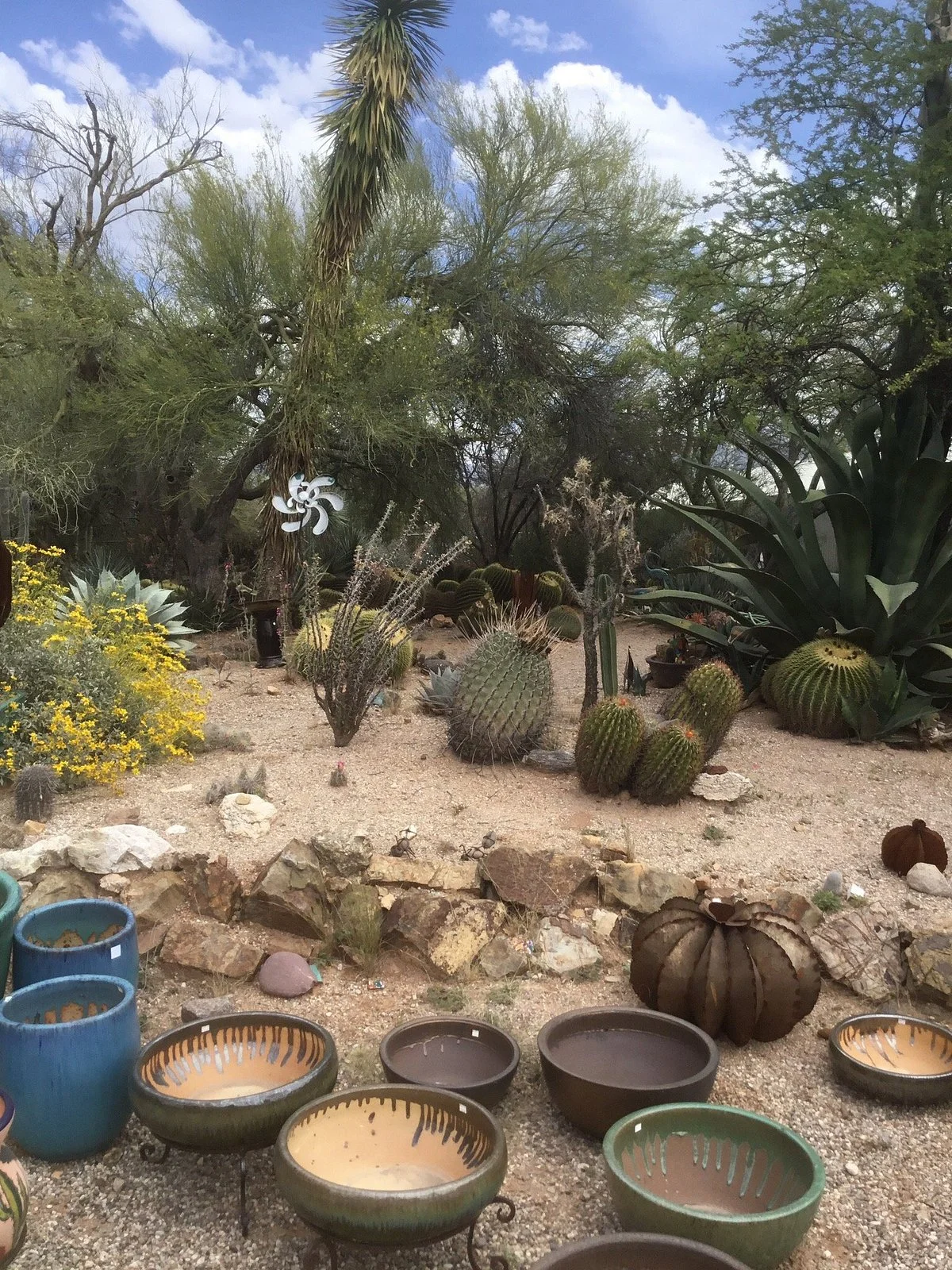 B & B Cactus Farm