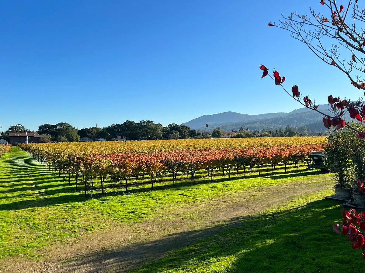 Salvestrin Winery
