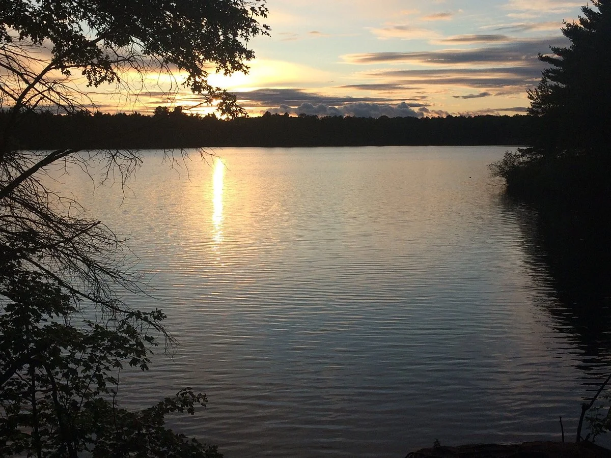 Coon Fork Lake County Park