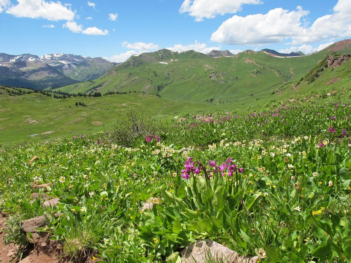 West Maroon Trail