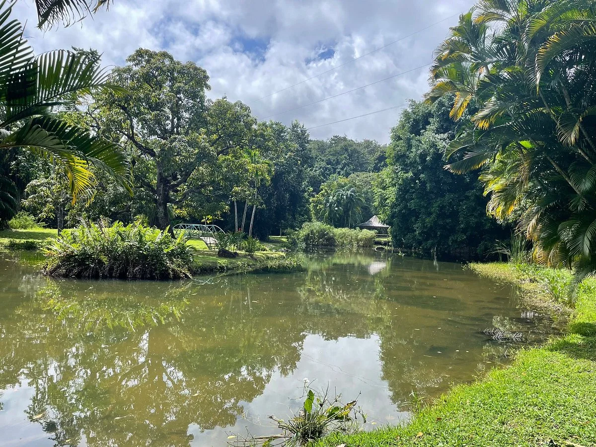 Le Jardin D'Eau