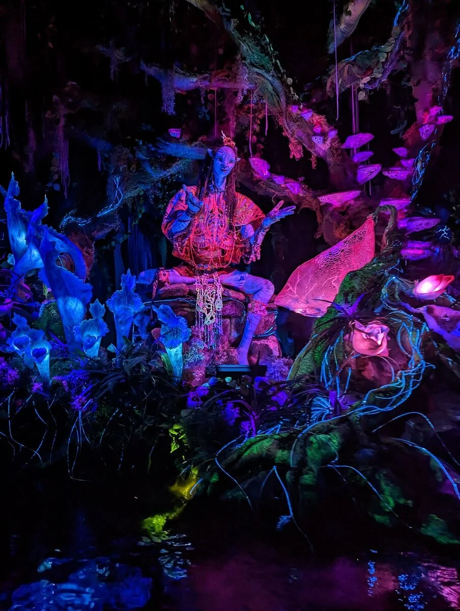 Na'vi River Journey