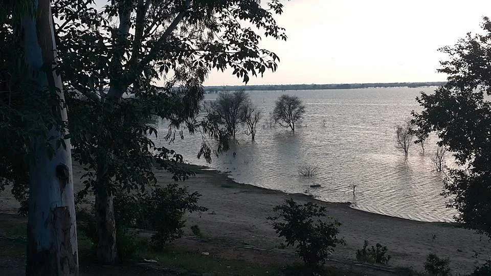 Meja Dam