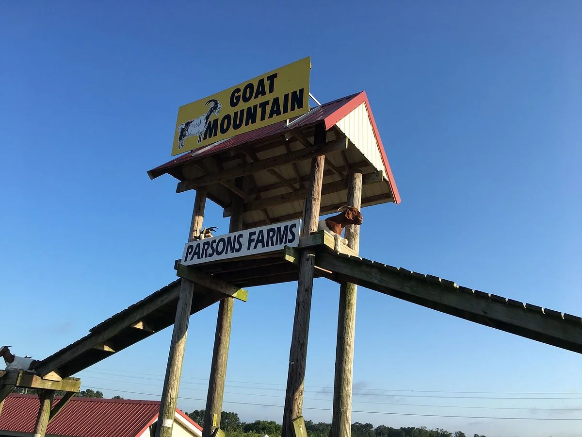 Parson's Farms