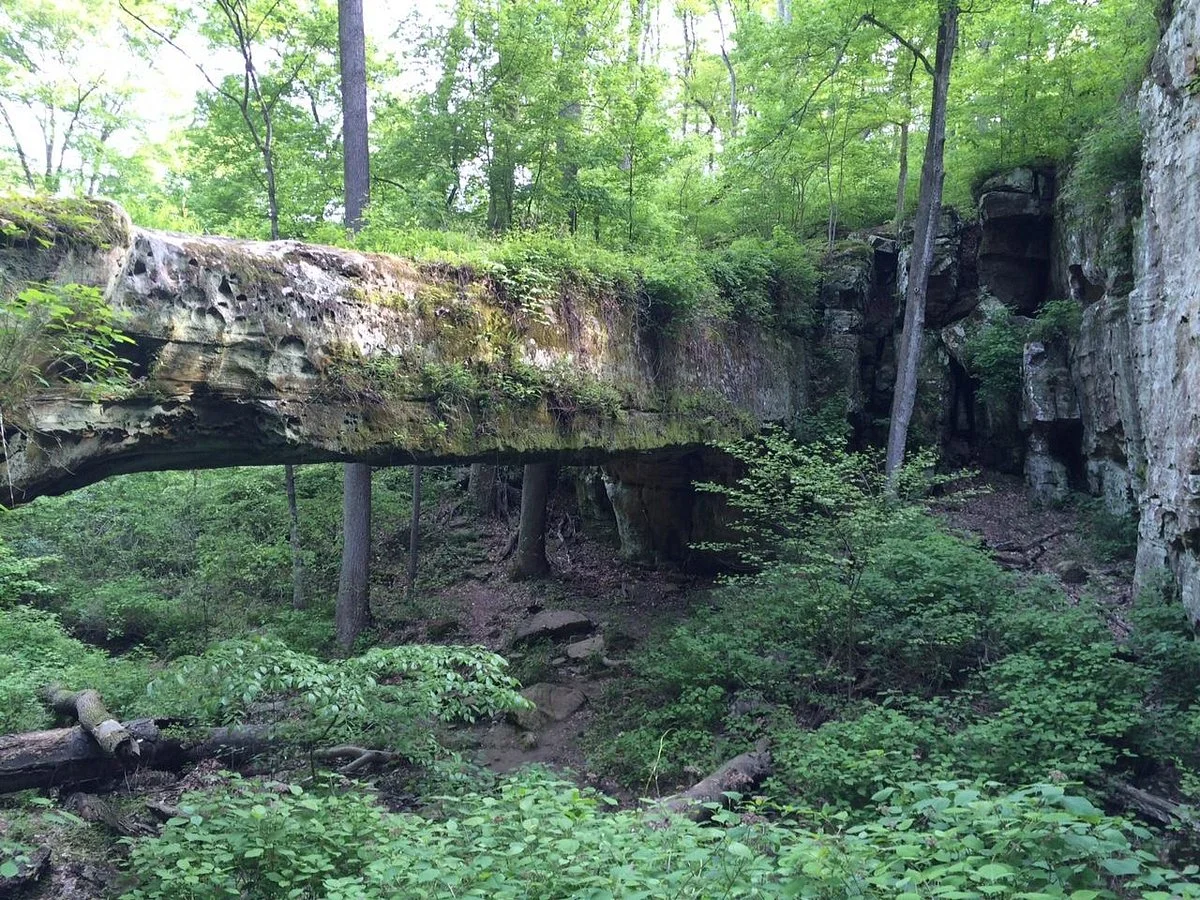 Pomona Natural Bridge