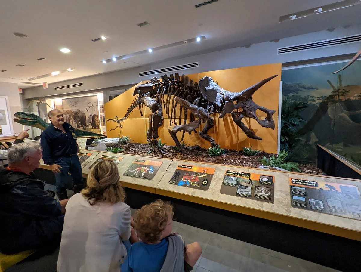 Palm Beach Museum of Natural History