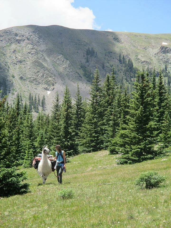 Latir Peak Wilderness Area