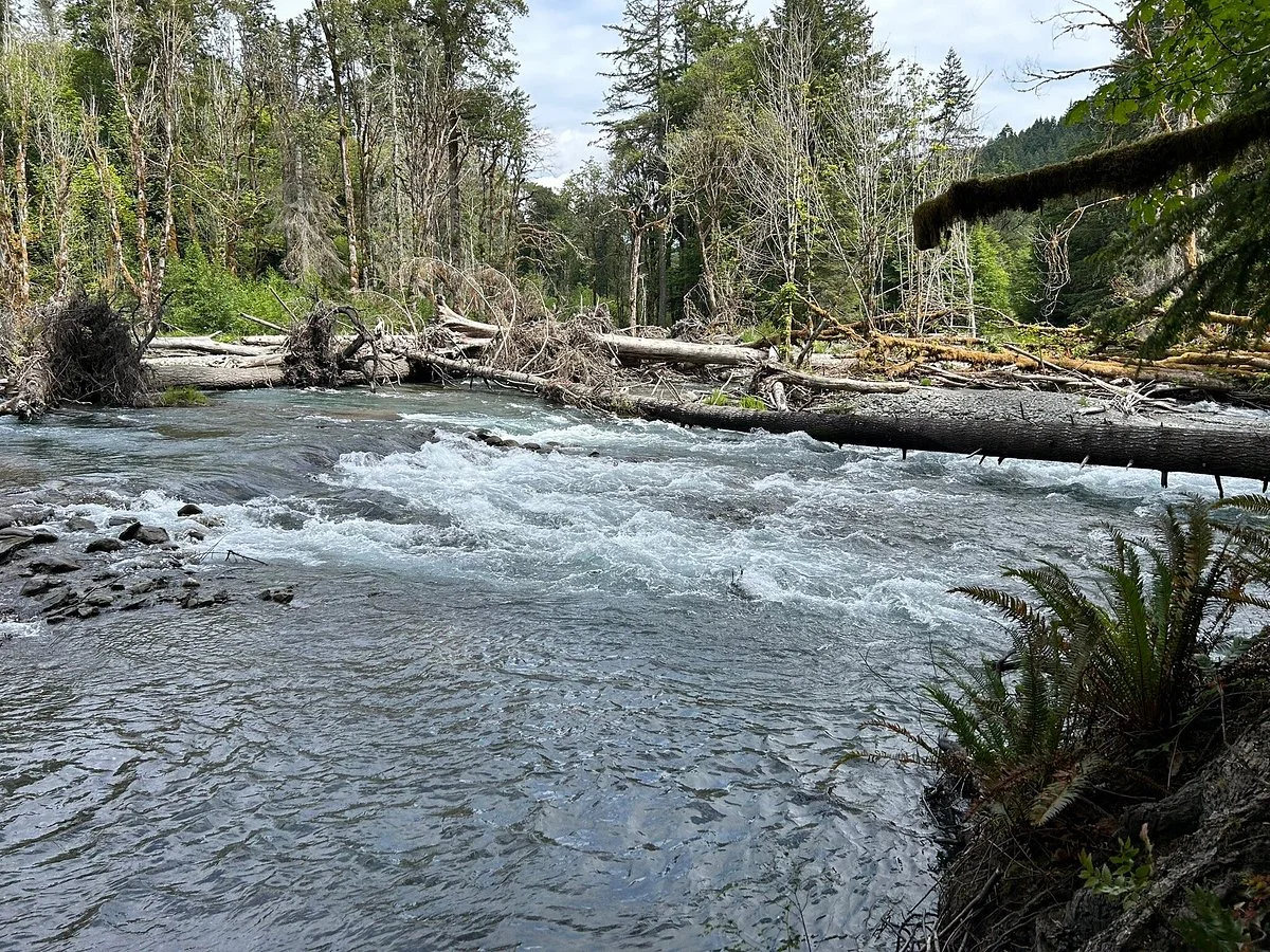 Olympic Hot Springs