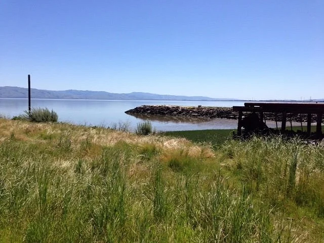 Cooley Landing