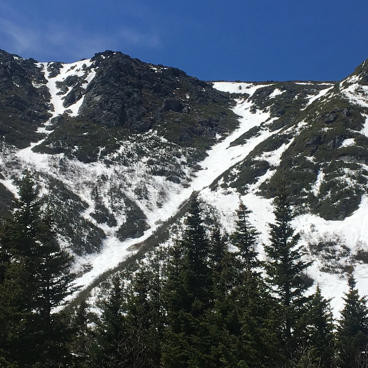 Hillmans' Highway