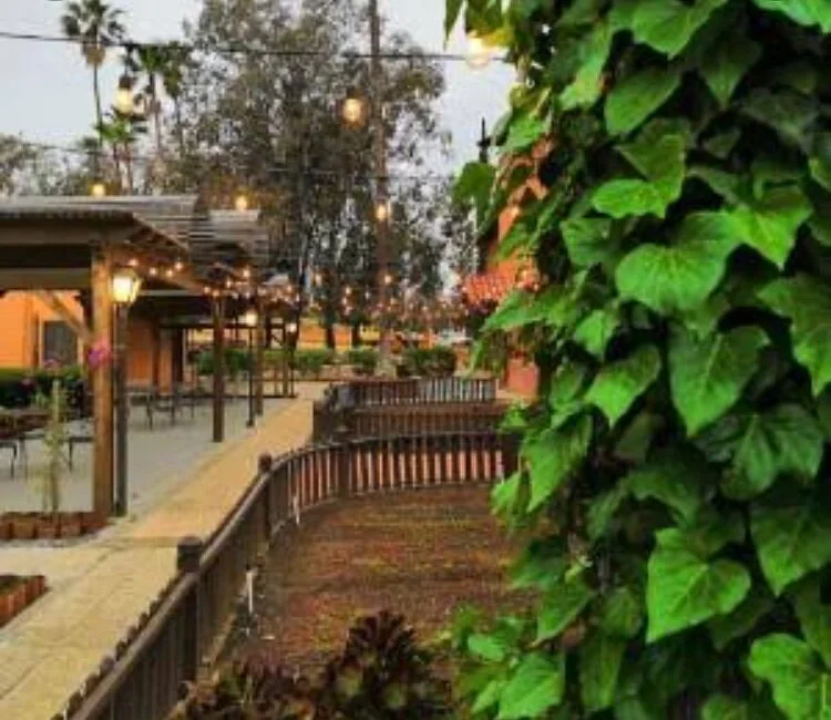Parque Recreativo Infantil Tecarroca