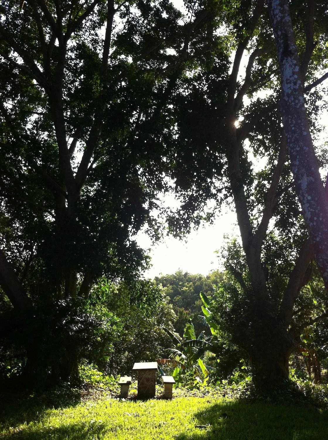 Eco Park Xanath - Papantla