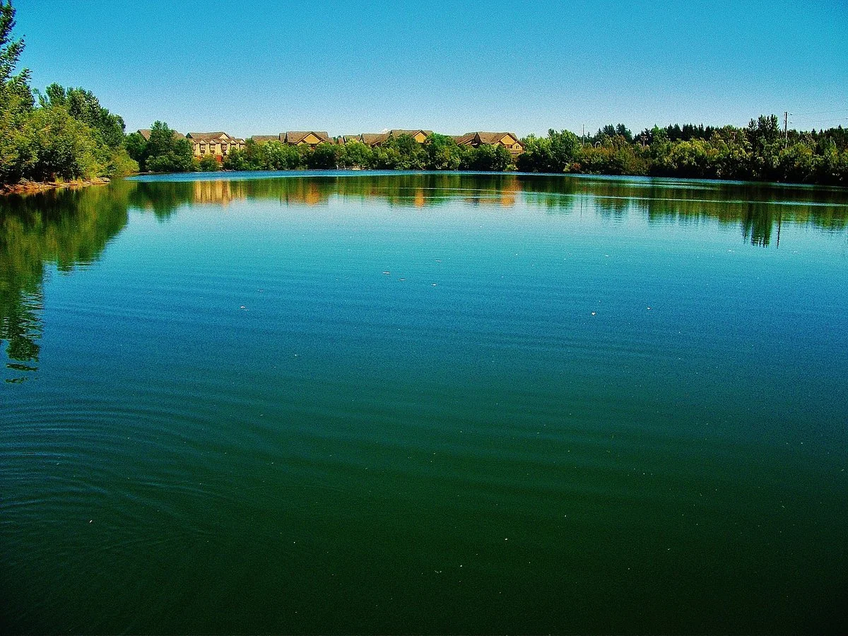 Salish Ponds Wetland Park