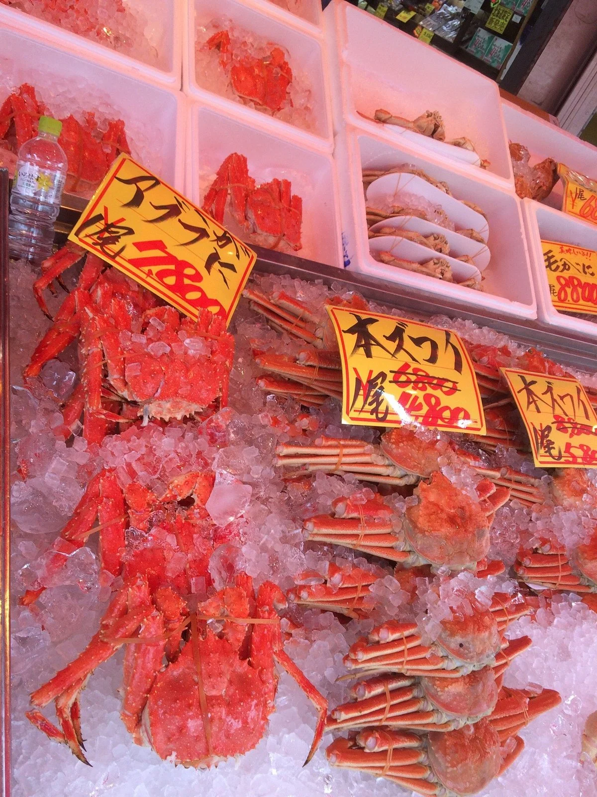 Sapporo Crab Market