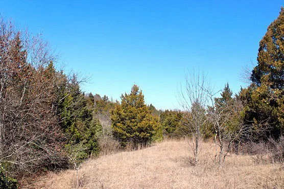 Tandy Hills Natural Area