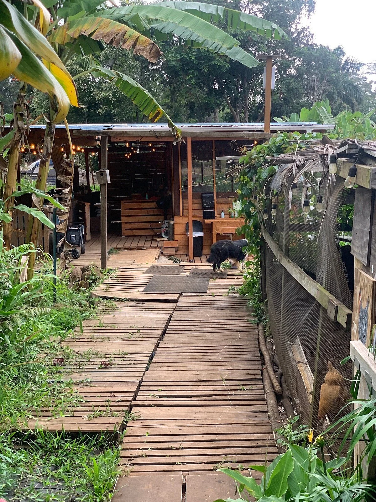 Maui Kosher Farm