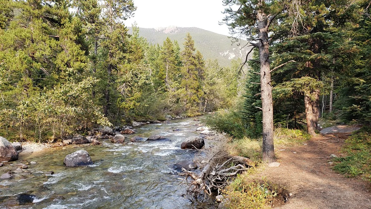 Silver Run Trails