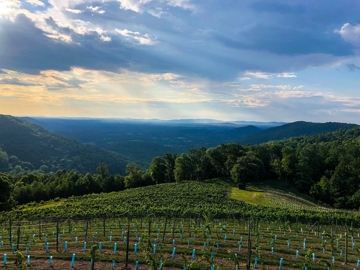Stone Mountain Vineyards