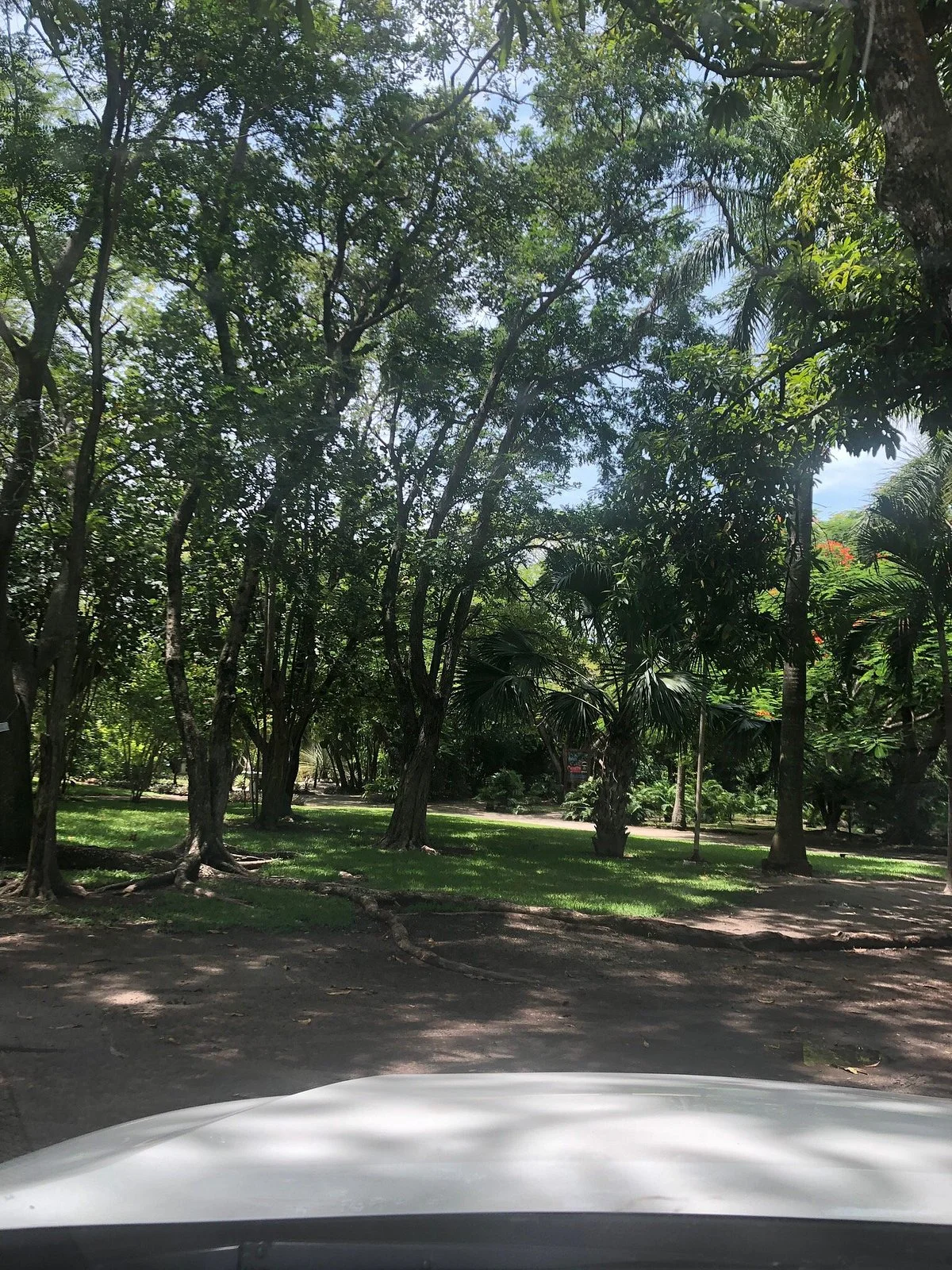 Jardin Botanico Unacar