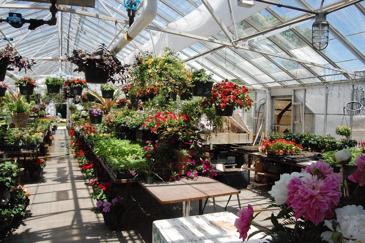 Greenhouses, College of the Ozarks
