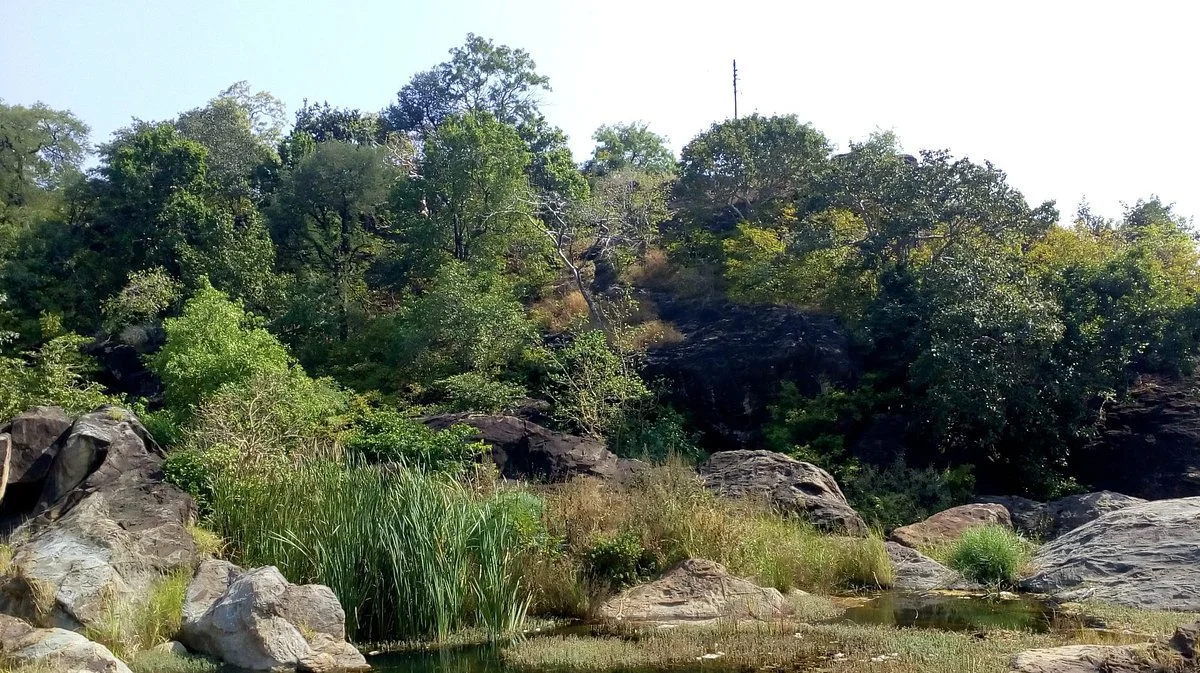 Salbardi Shivalinga Caves