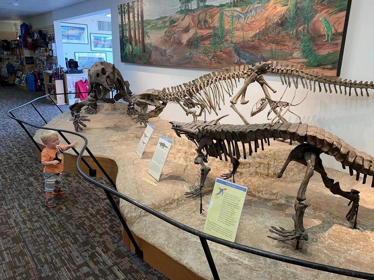 Rainbow Forest Museum