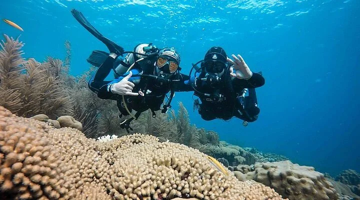 Sea & Discover