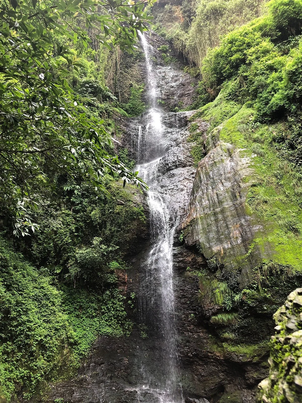 Chadwick Falls