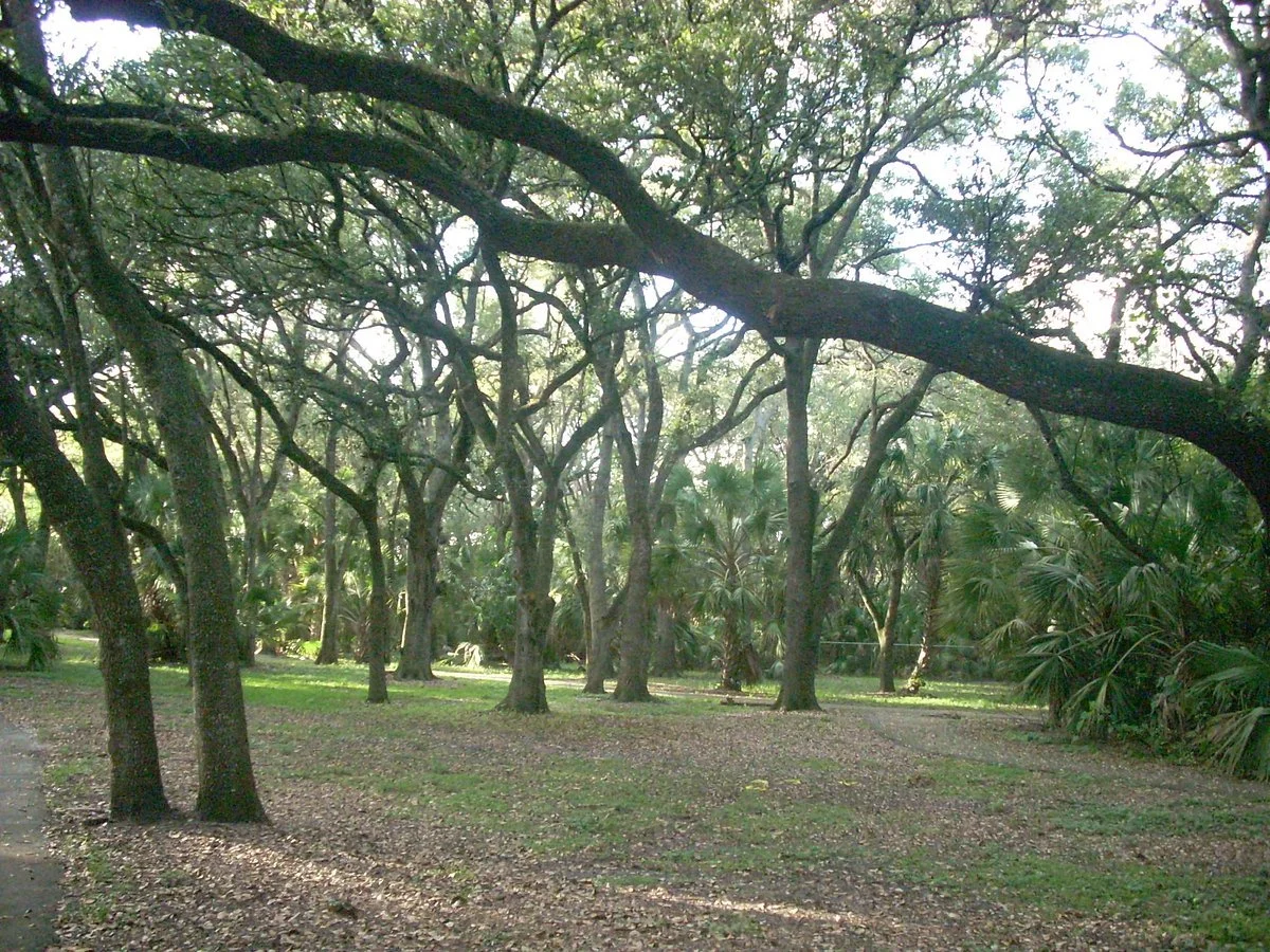 John Williams Park/Sheridan Oak Forest