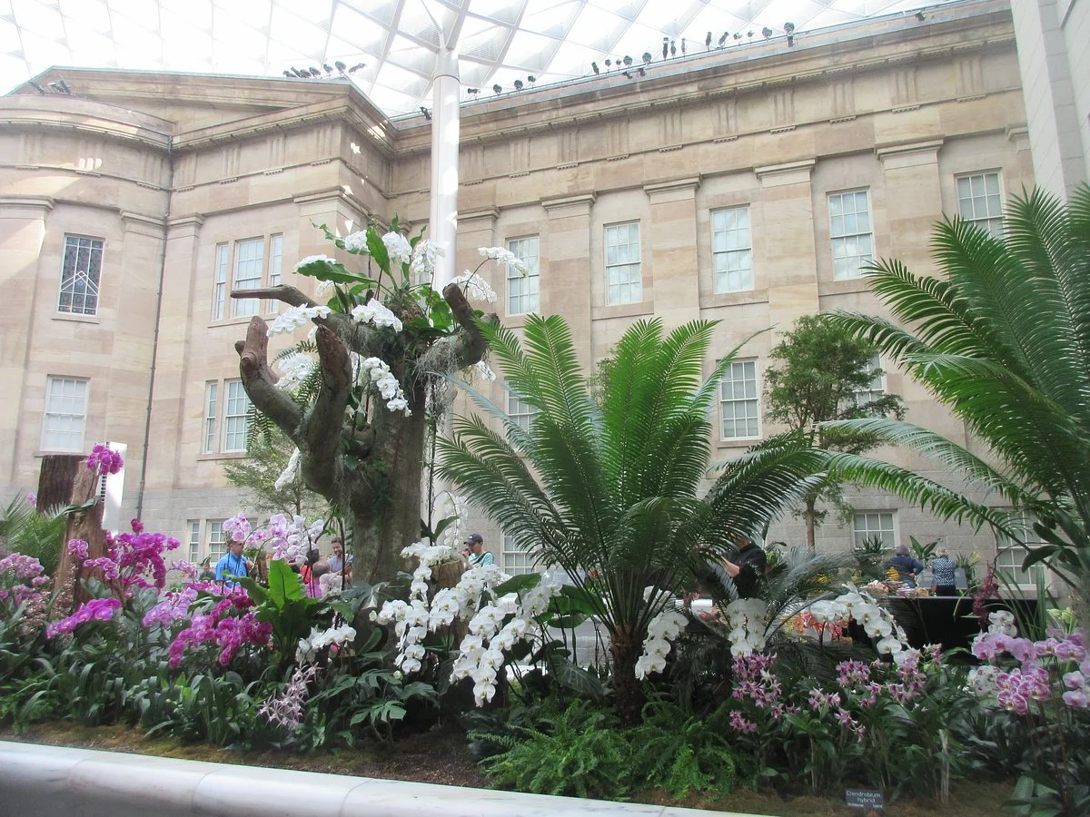 Kogod Courtyard
